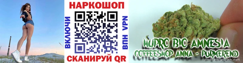 Купить наркотик аптеки Омутнинск Alpha PVP ГАШИШ Каннабис КОКАИН