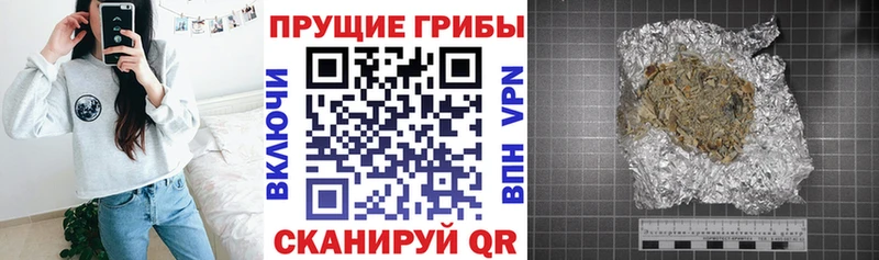 Галлюциногенные грибы мухоморы Омутнинск