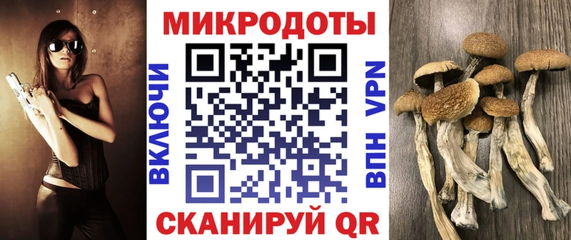 Псилоцибиновые грибы мицелий закладки Омутнинск
